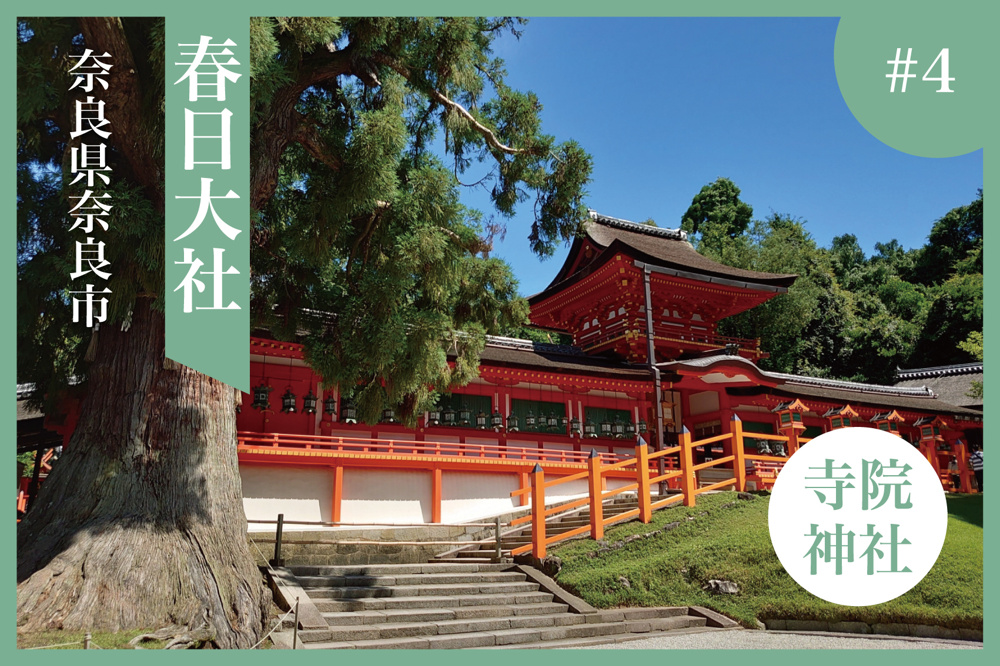 奈良・春日大社で出会う、千年の光。心が澄む森の聖地への画像