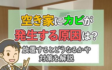 空き家にカビが発生する原因は?放置するとどうなるかや対策を解説の画像