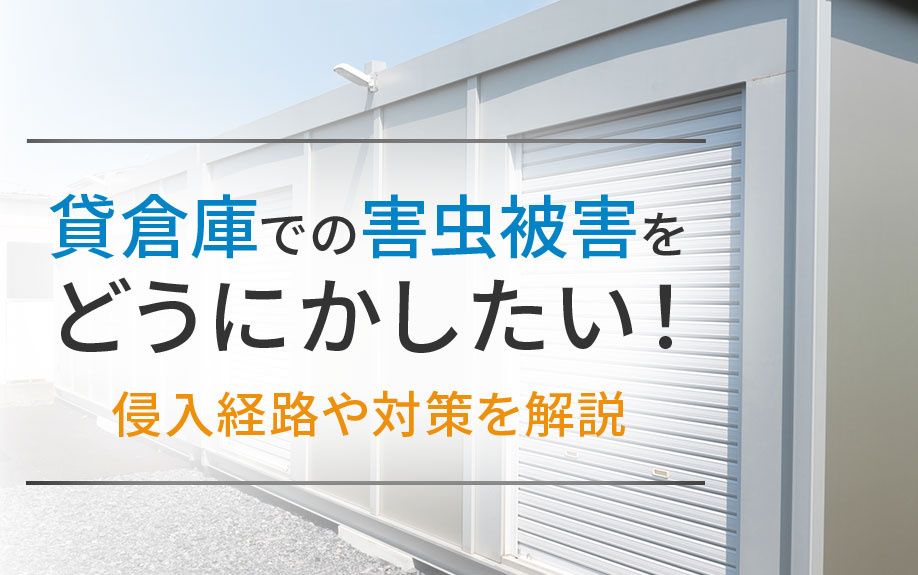 貸倉庫での害虫被害をどうにかしたい！侵入経路や対策を解説の画像