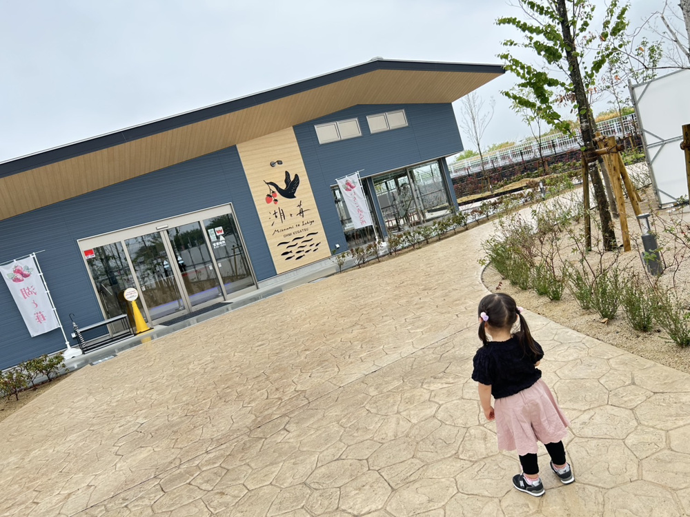 いちご狩りの画像