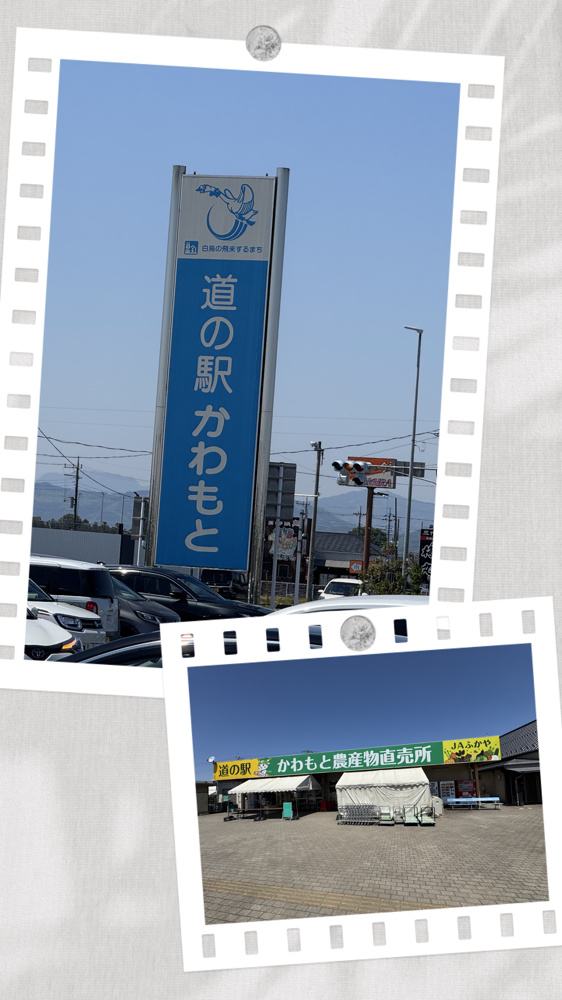 道の駅　かわもと!の画像