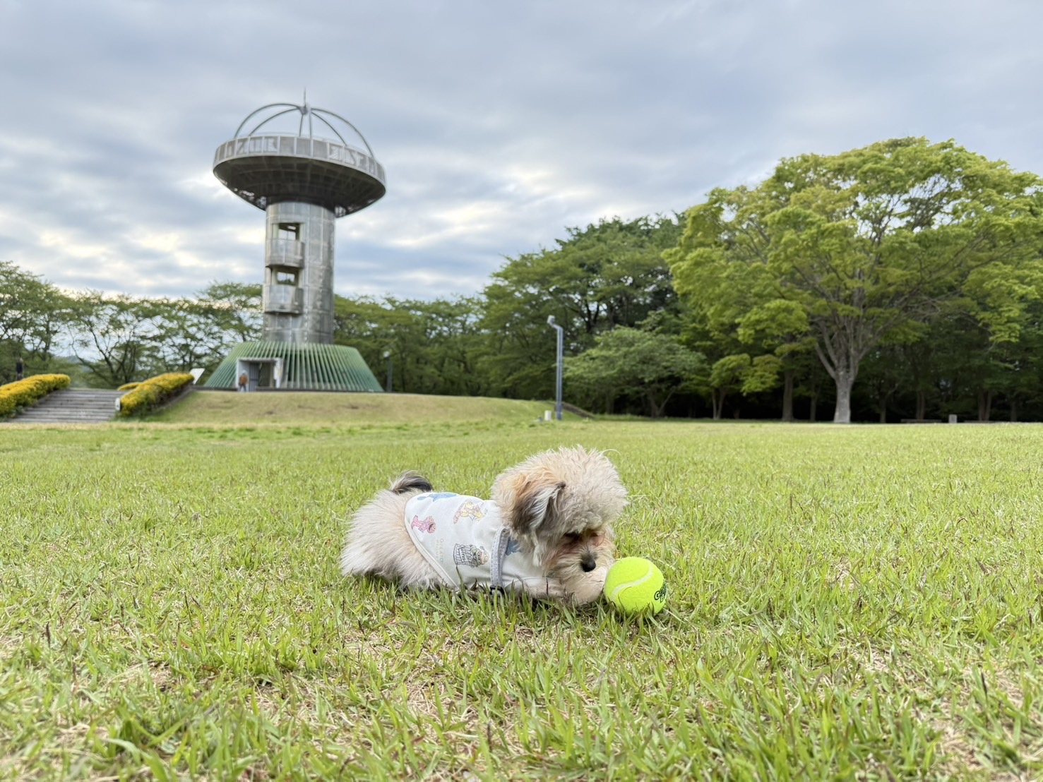 小学生ぶりに……の画像