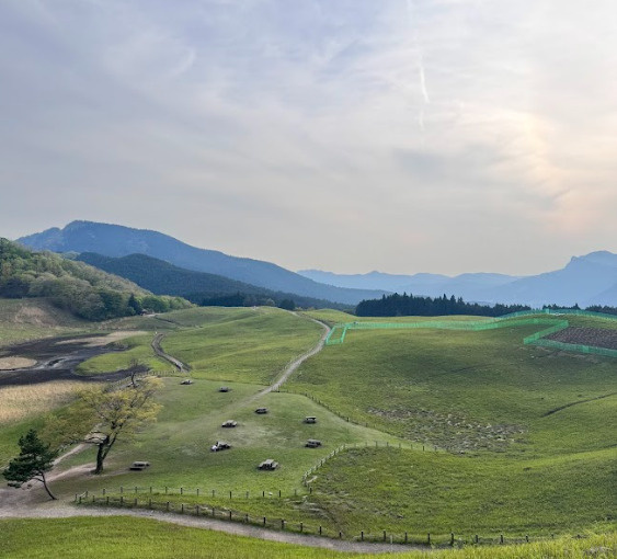 曽爾高原に行ってきました！の画像