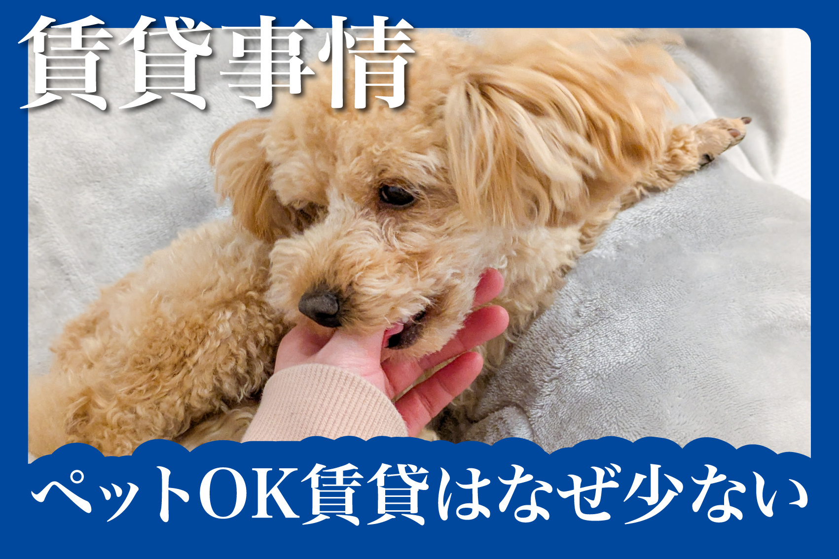 ペットOK賃貸はなぜ少ない？の画像