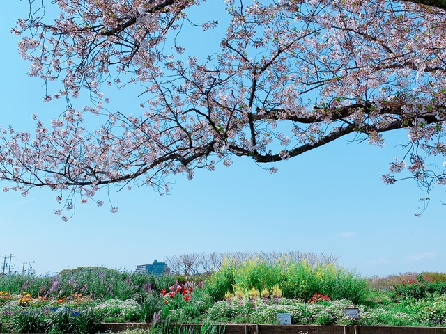 入野町で新生活☆の画像