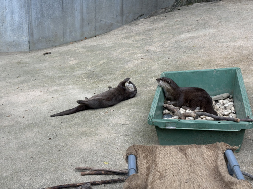水族館！！の画像