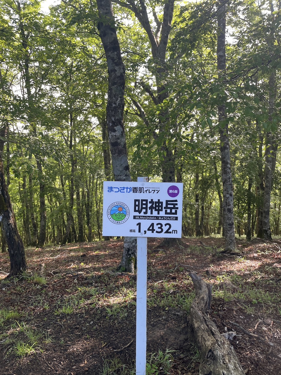 雲の上の静けさと出会う山旅──明神岳ハイキング日和の画像