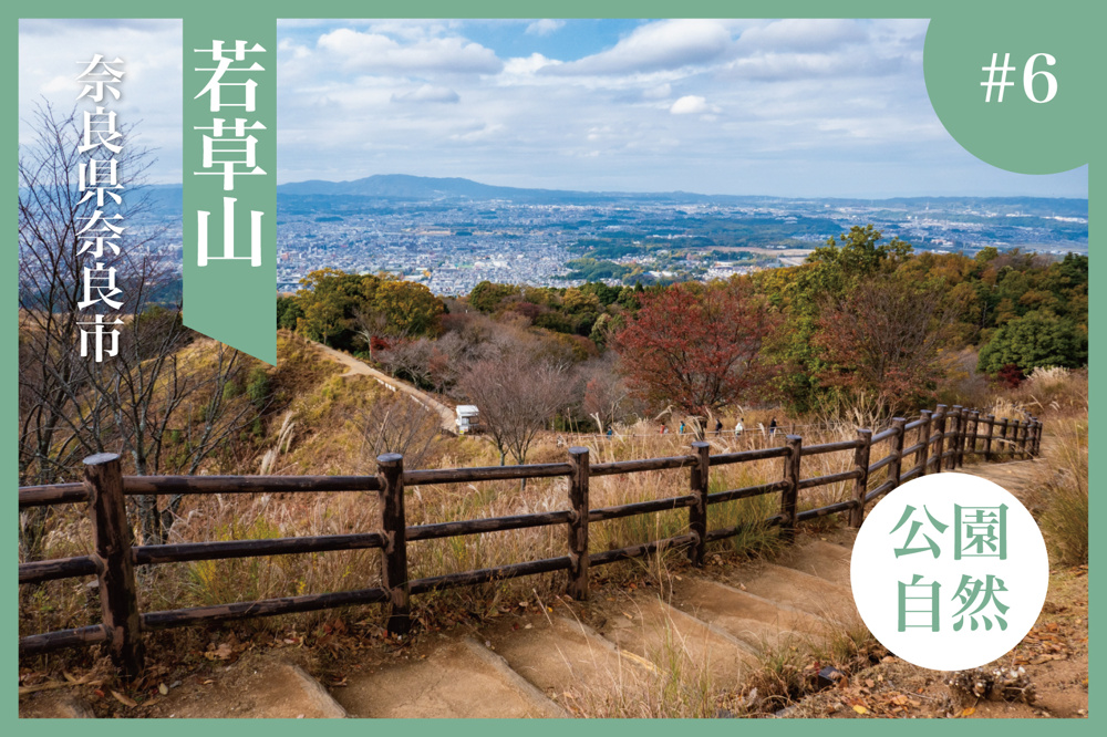 緑の絨毯と古都の風景に癒されて。若草山で過ごす奈良の休日の画像