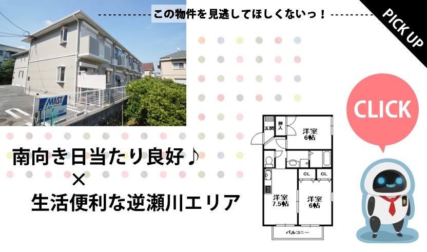 サカセ川ハイツBの画像