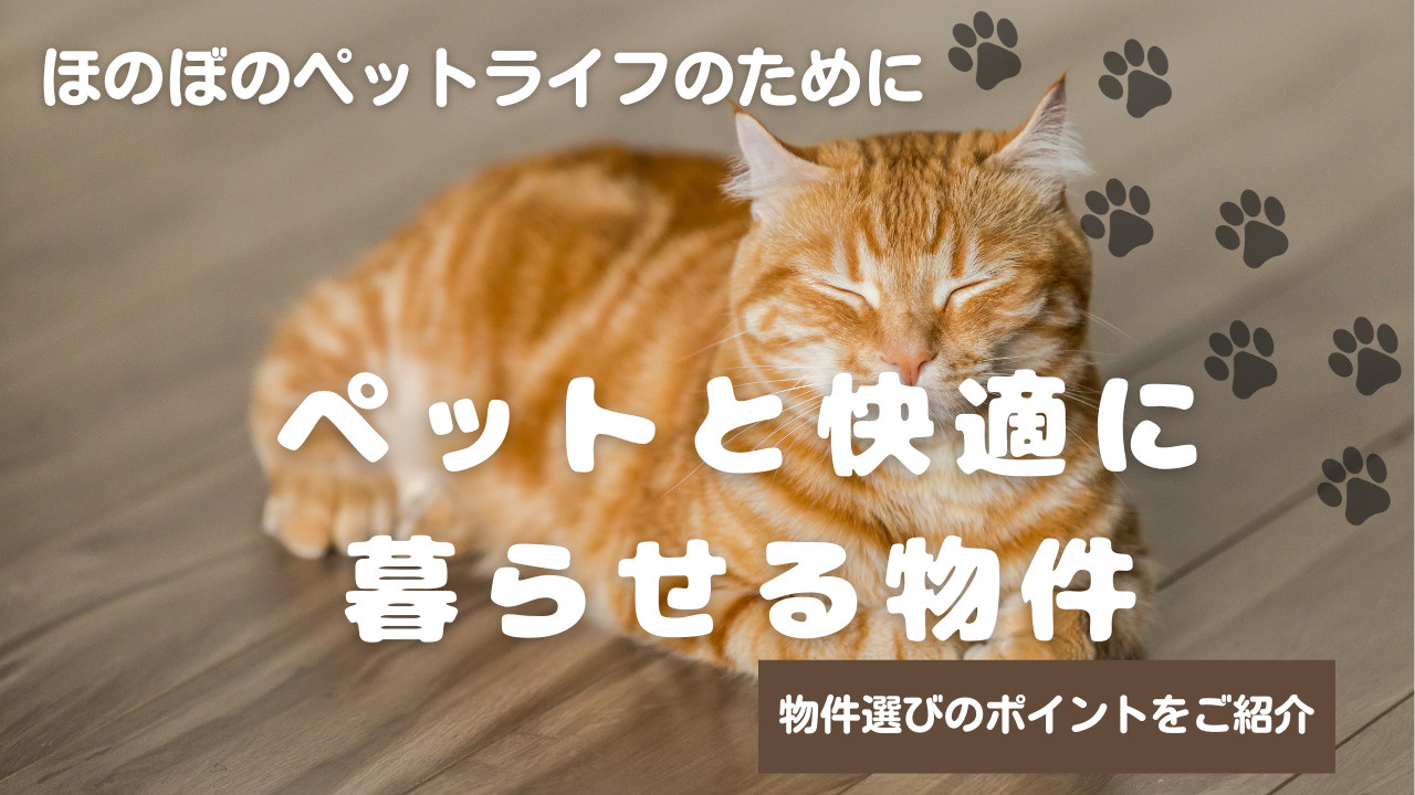 ペットと快適に暮らせる物件はどれ？物件選びのポイントをご紹介の画像