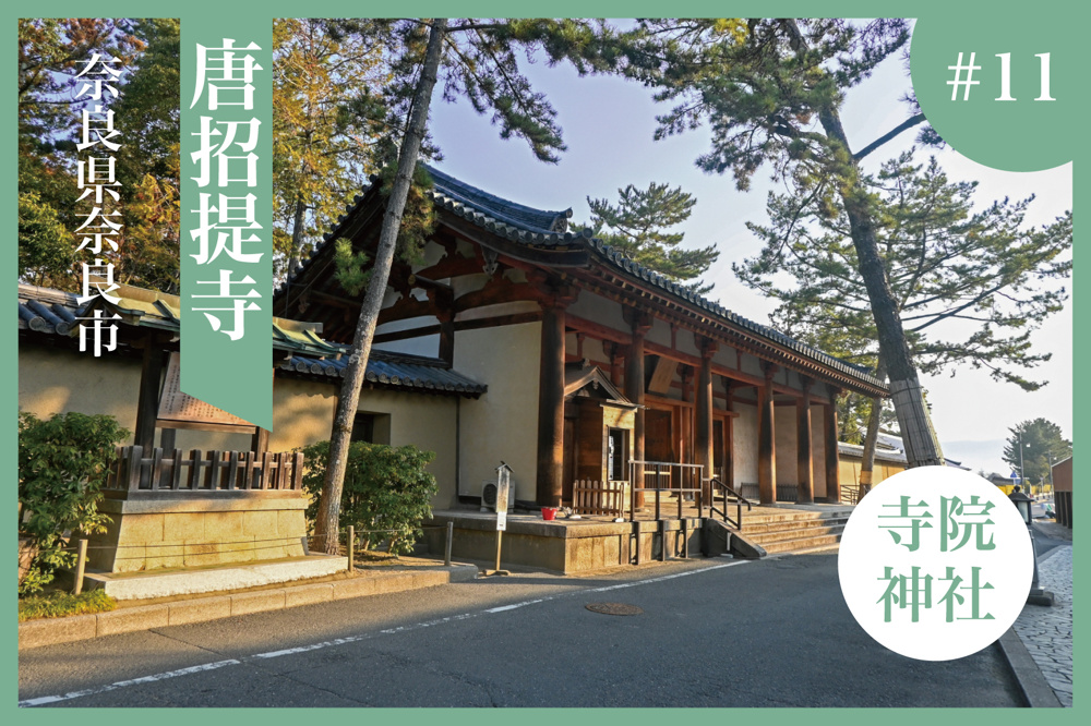 静寂に包まれる時の庭へ。唐招提寺で心を澄ます奈良旅の画像