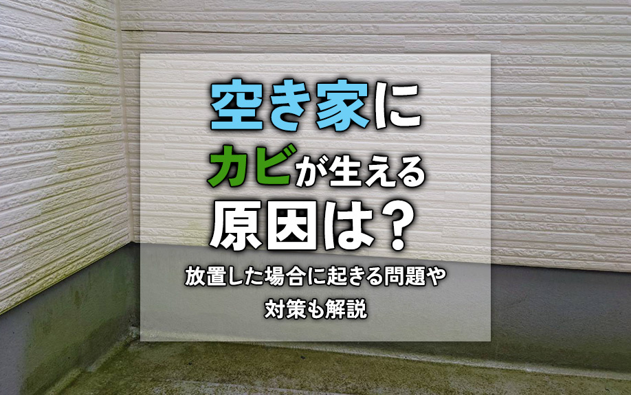 空き家にカビが生える原因は？放置した場合に起きる問題や対策も解説の画像