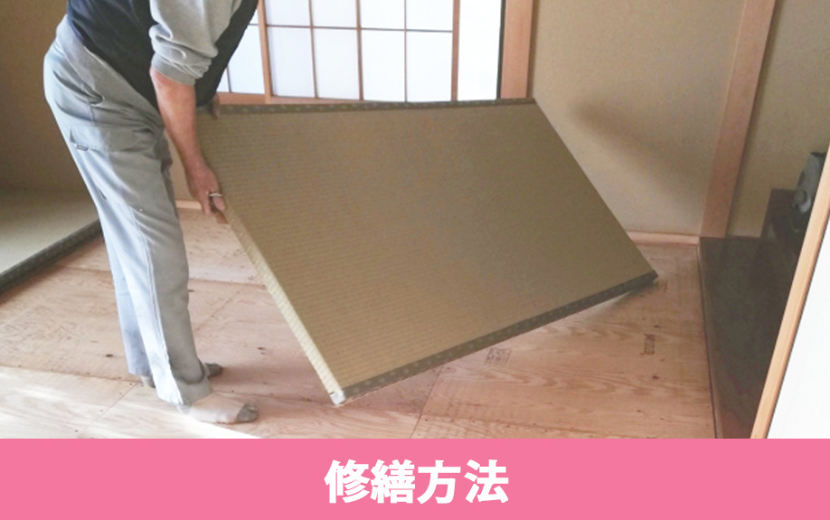 賃貸物件の畳はいつ交換する？修繕方法ときれいに使うコツ