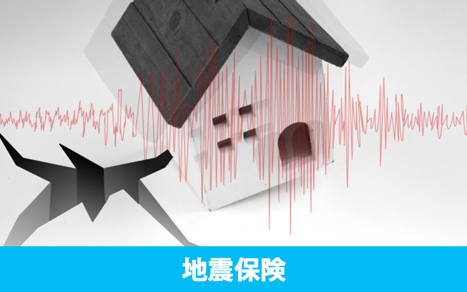 災害保険のひとつ家の「地震保険」の補償内容について