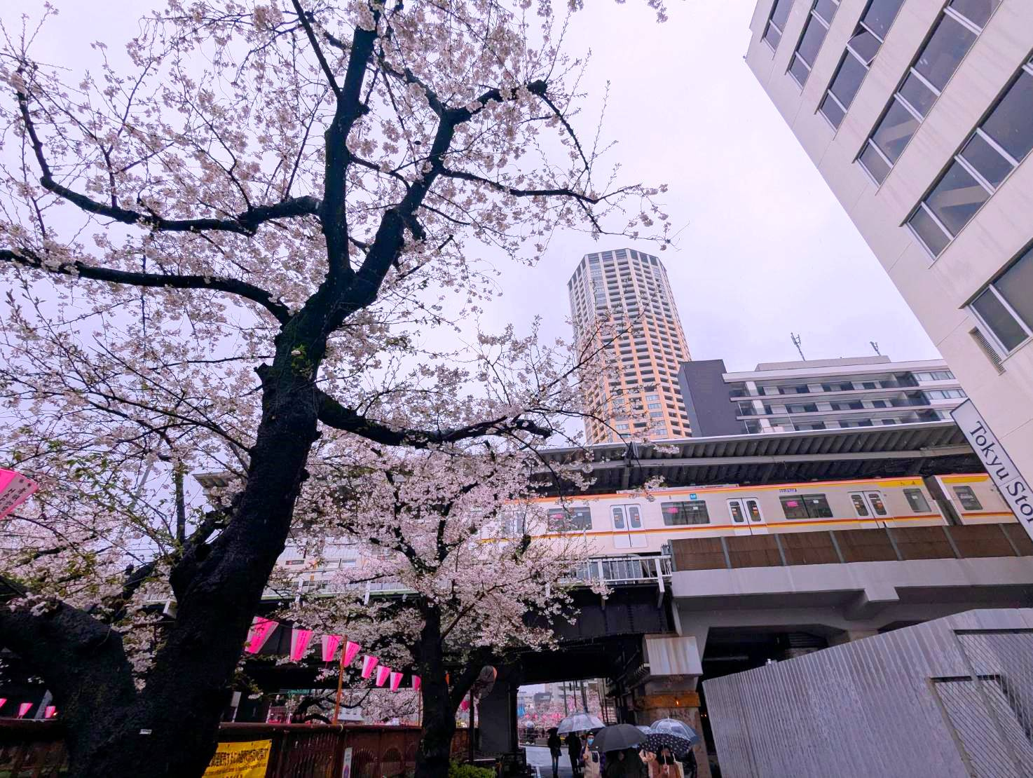 目黒区青葉台の魅力とは？治安やアクセスを解説の画像