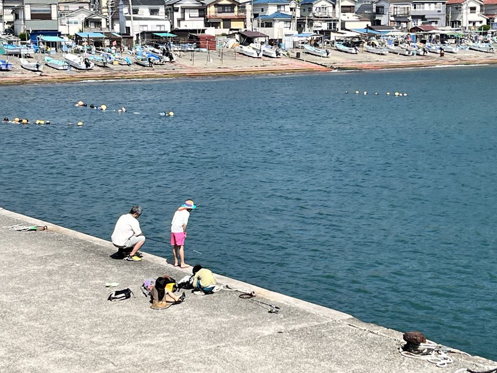 小坪漁港の画像