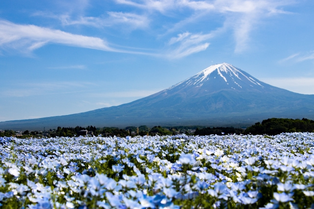 【心がふわっと疲れたあなたへ】5月病ってなに?原因と対策をやさしくご紹介の画像