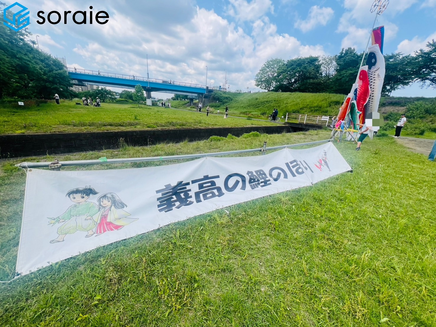 鯉のぼりの画像