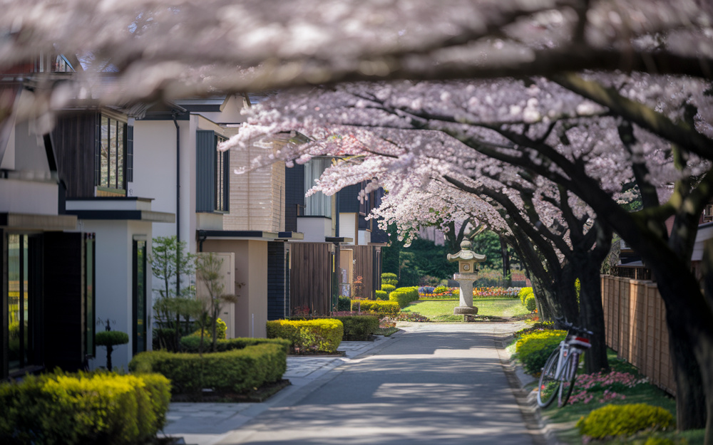 住宅購入の不安を解消しませんか？買い方ガイドをご紹介の画像