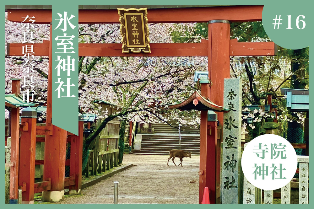 奈良の隠れた涼の聖地。「氷室神社」で感じる古代の風の画像