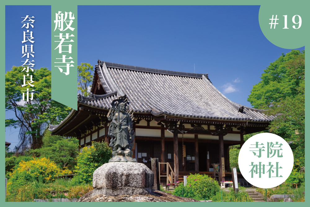 奈良の秘境。「般若寺」で出会うコスモスと歴史の調和の画像