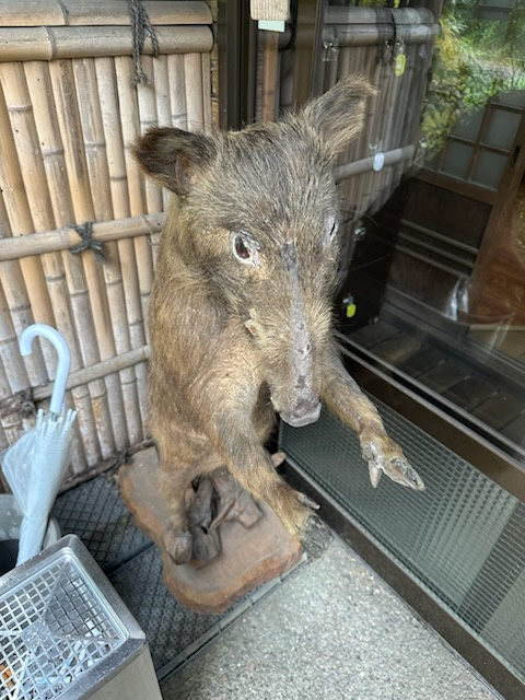 初めての体験!(^^)!の画像