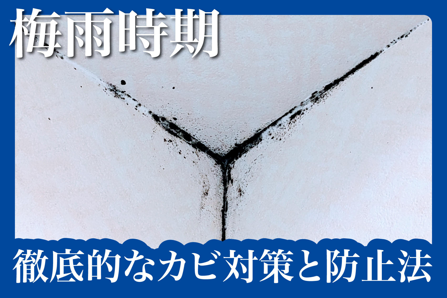 賃貸物件の梅雨時期に必須!徹底的なカビ対策と防止法の画像
