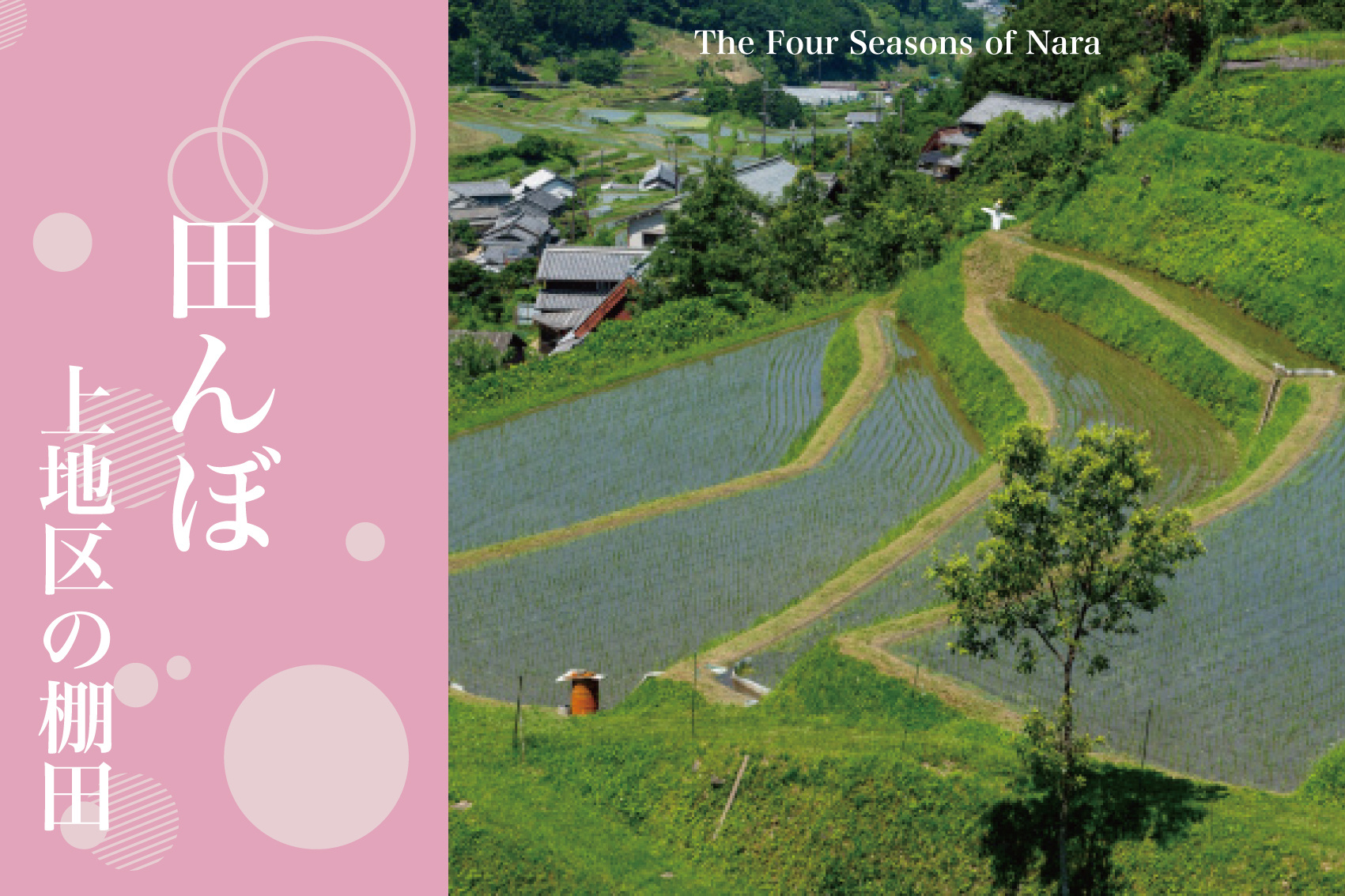 水鏡に映る絶景 – 上地区の棚田で感じる初夏の美しさの画像