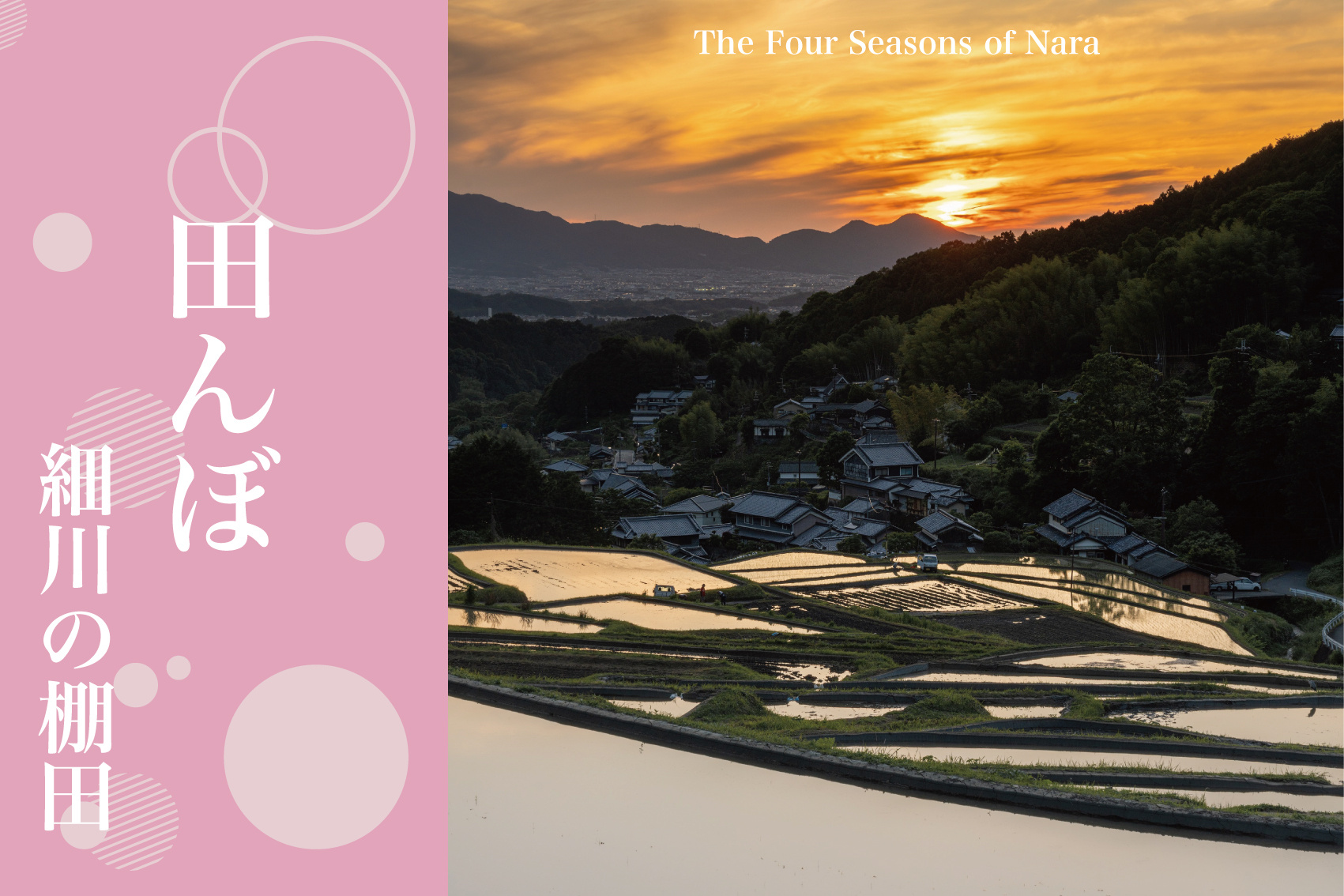 水鏡に揺らめく初夏の細川棚田 – 時を映す静寂の美の画像