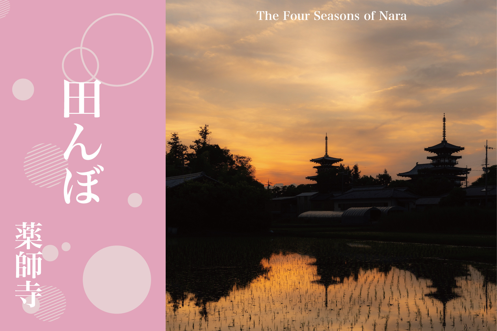 水鏡に映る悠久の景色 – 薬師寺と田んぼの共演の画像