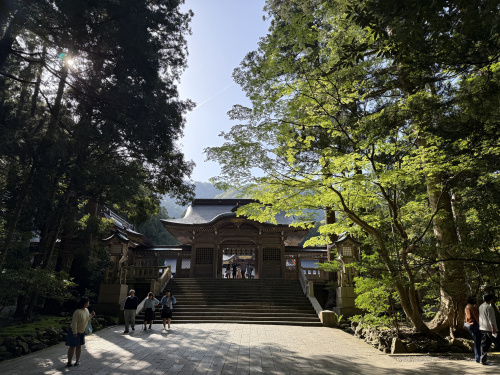 令和の米騒動！の画像