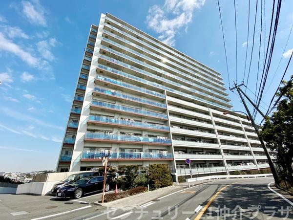 ブログ記事トップ画像