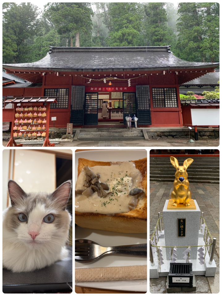 雨の日光の画像