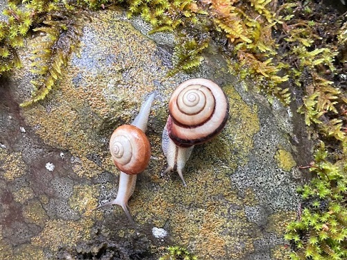 癒し旅の画像