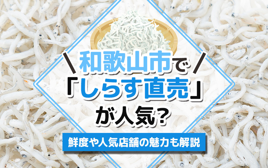 和歌山市で「しらす直売」が人気？鮮度や人気店舗の魅力も解説の画像