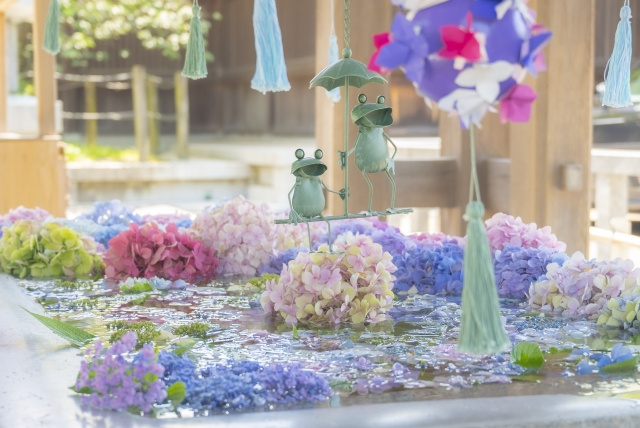 2025年5月後半の福岡イベント特集：初夏を彩るおすすめの催しの画像