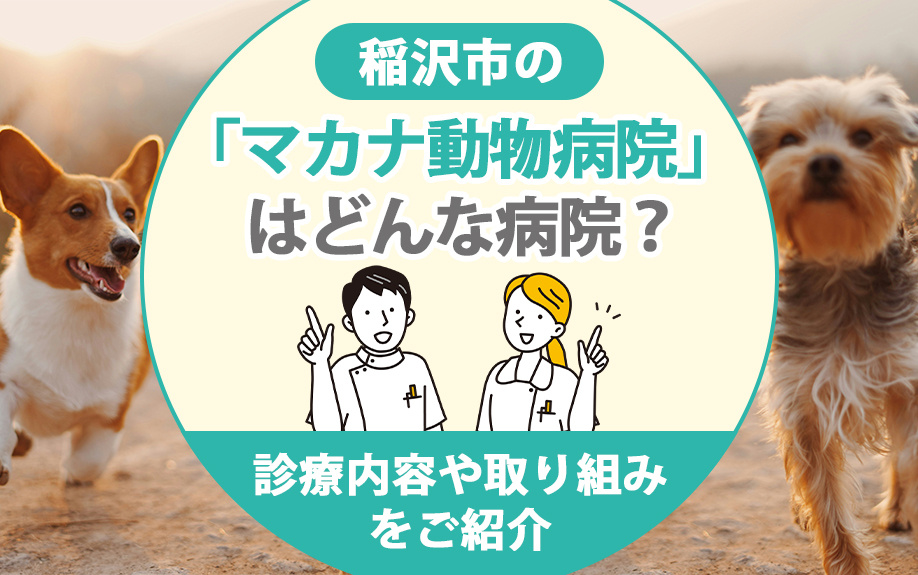 【2025年】稲沢市の「マカナ動物病院」はどんな病院？診療内容や取り組みをご紹介の画像
