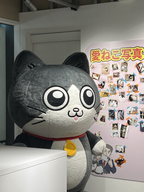 売却予定の住宅の価値を上げる秘訣とは？価値向上の実践方法をご紹介の画像