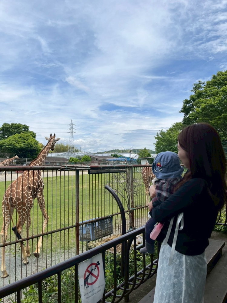 浜松動物園の画像