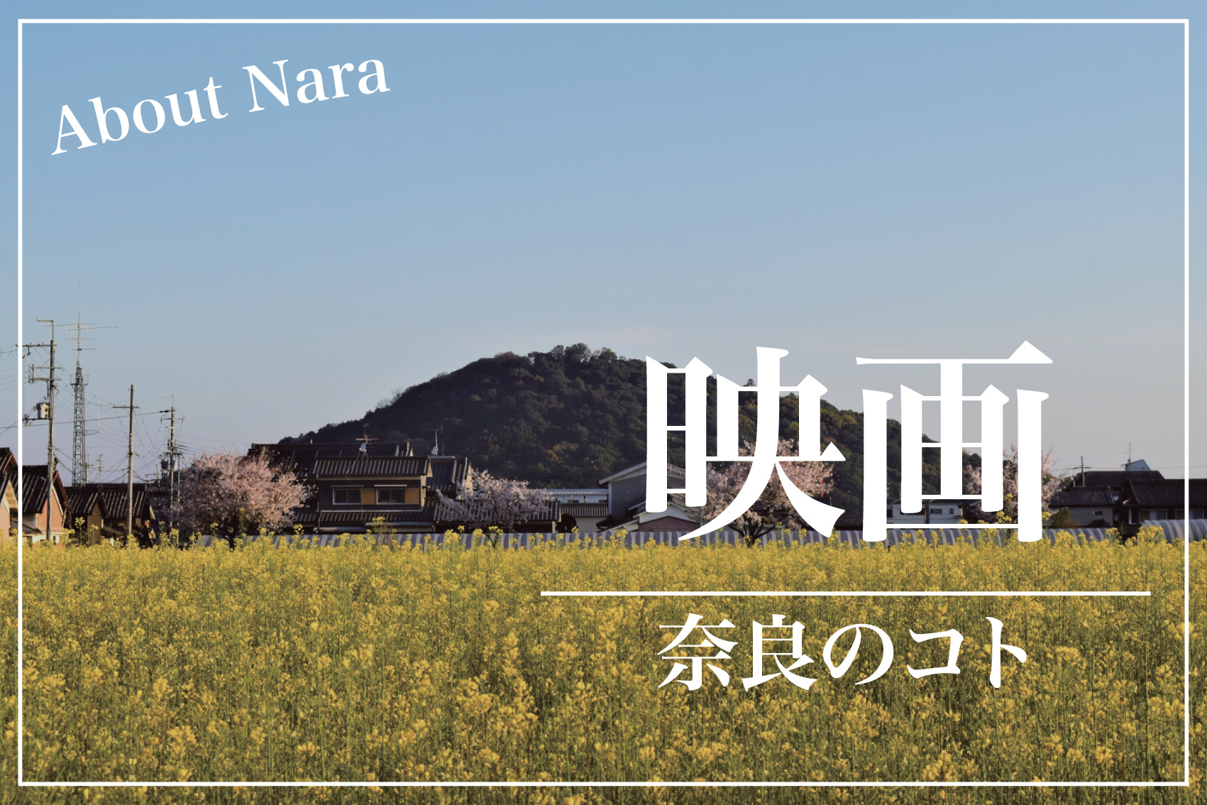 奈良県を舞台にした映画たち：歴史と自然が織りなす銀幕の物語の画像