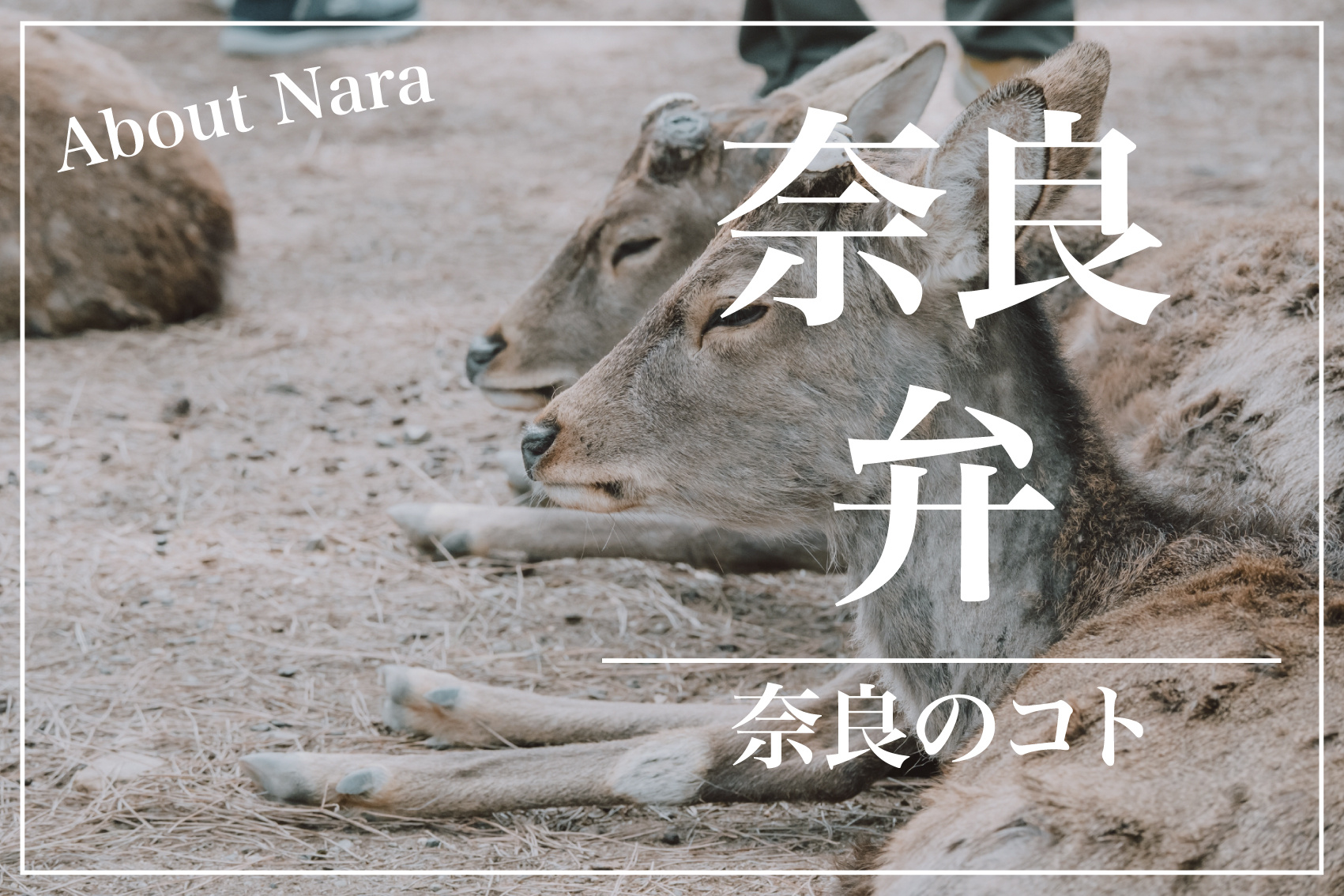 やさしさがにじむ言葉 ― 奈良弁の魅力と今の画像