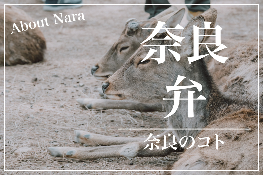 やさしさがにじむ言葉 ― 奈良弁の魅力と今の画像