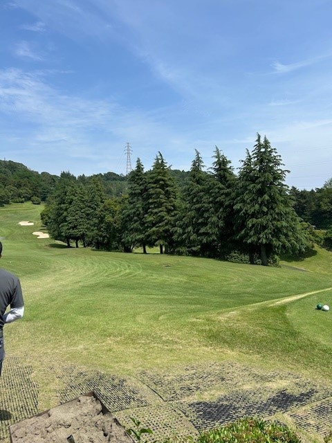 みんなでゴルフの画像
