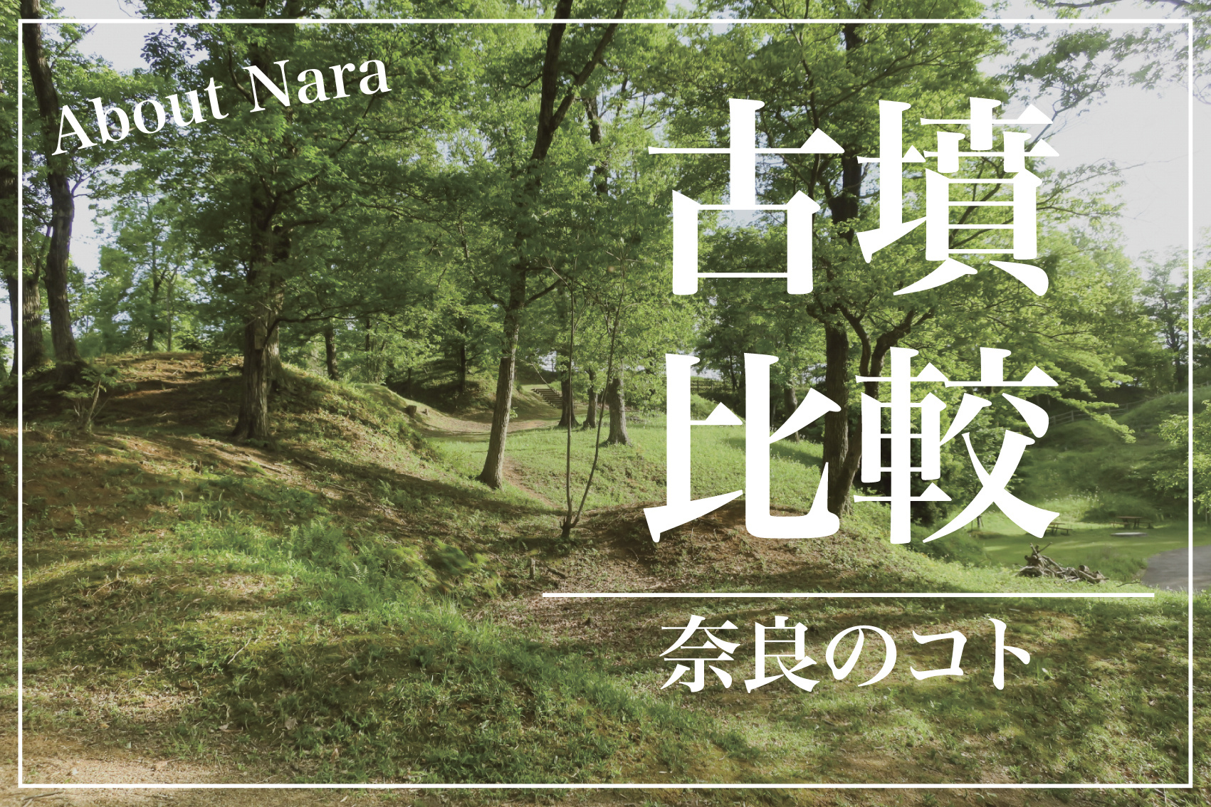 奈良県の古墳数、全国と比べて多いのか？の画像