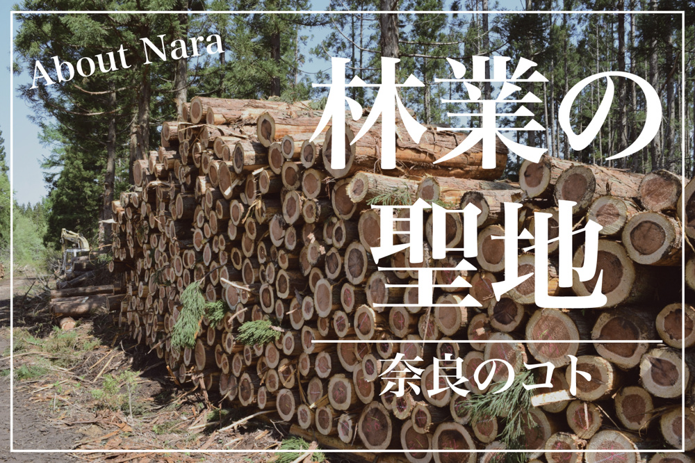 なぜ吉野町は林業の聖地と呼ばれるのか？の画像