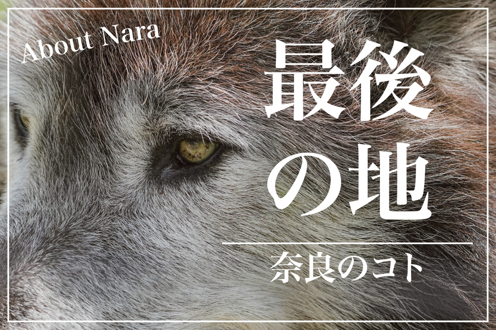 ニホンオオカミ、最後の地 ― 奈良県東吉野村が語る絶滅と記憶の画像
