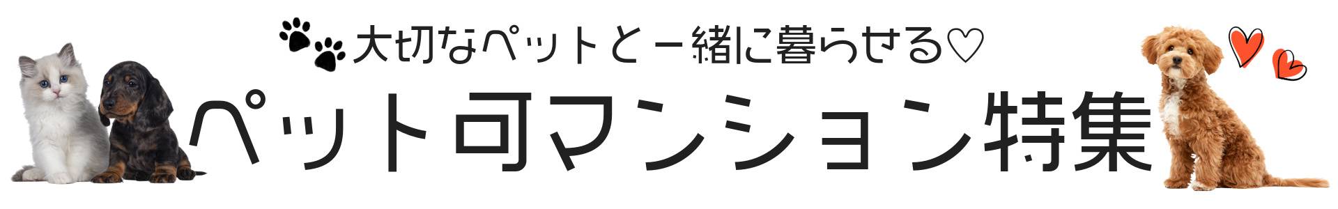 ペット可マンション特集！！の画像