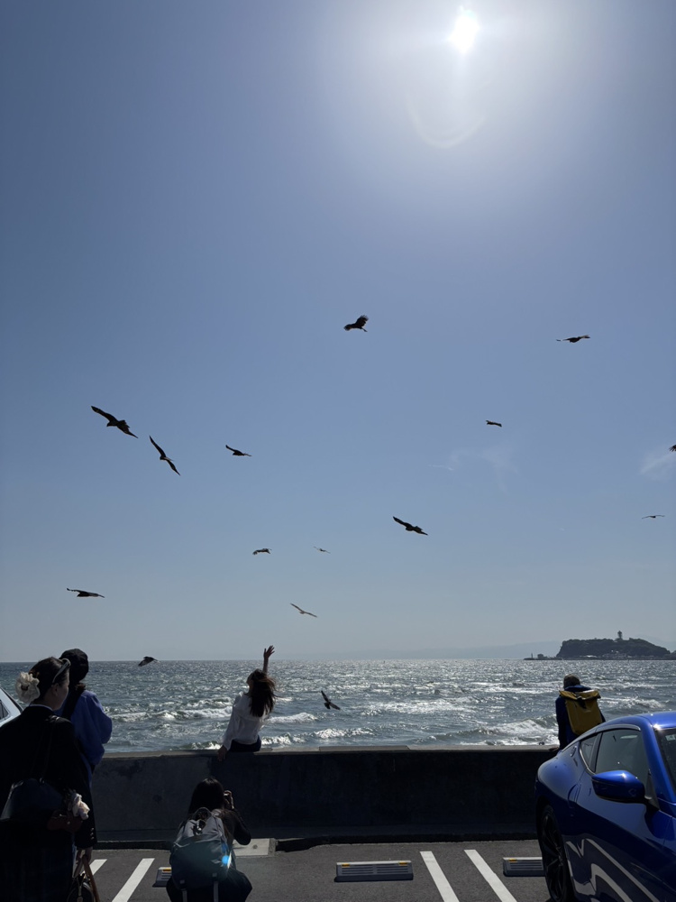～ドライブ　海へ～の画像