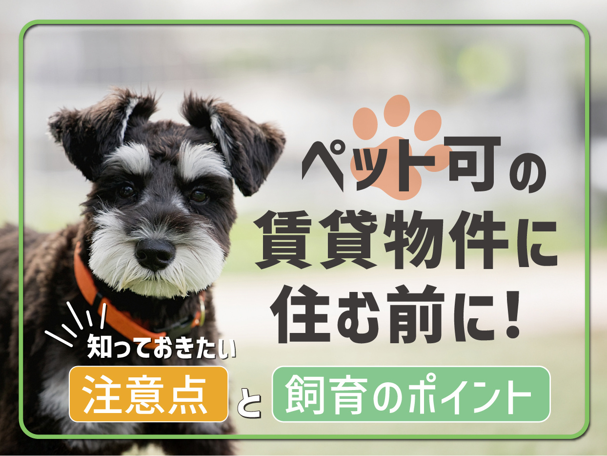 ペット可の賃貸物件に住む前に！知っておきたい注意点と飼育のポイントの画像