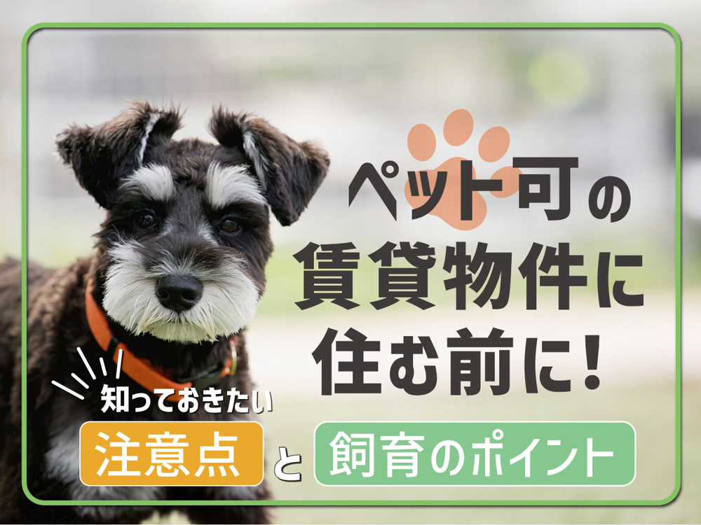 ペット可の賃貸物件に住む前に！知っておきたい注意点と飼育のポイントの画像